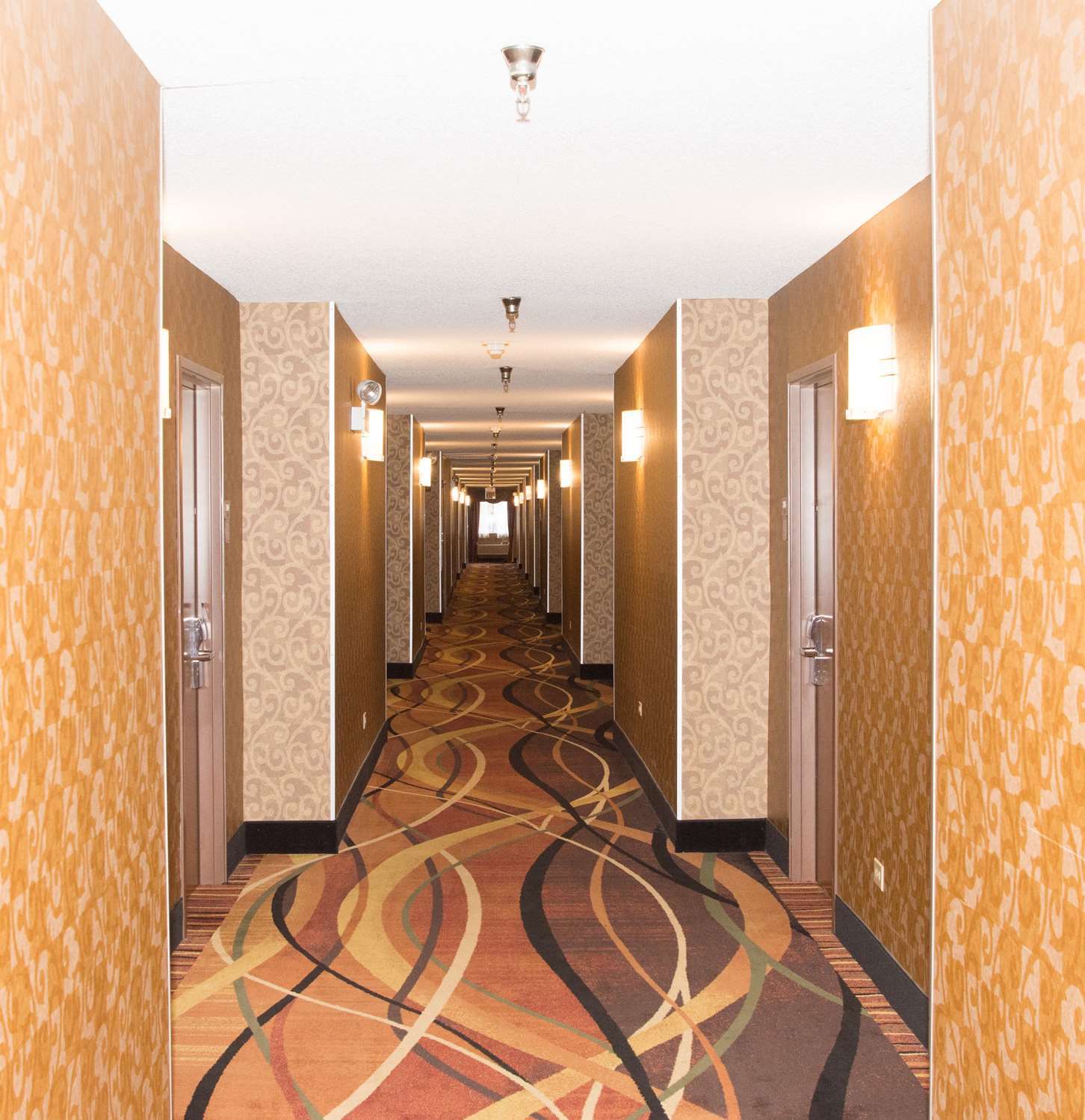 Best Western Des Plaines O'Hare Luaran gambar